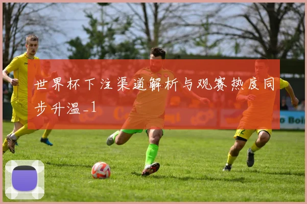 世界杯下注渠道解析与观赛热度同步升温_1