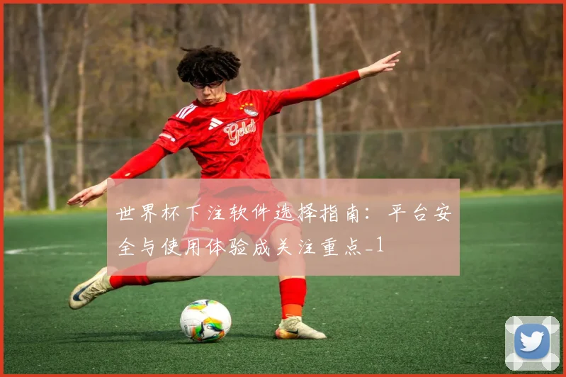 世界杯下注软件选择指南:平台安全与使用体验成关注重点_1
