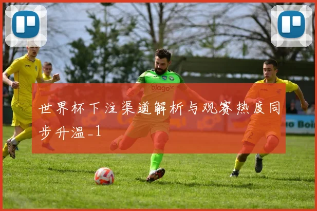 世界杯下注渠道解析与观赛热度同步升温_1